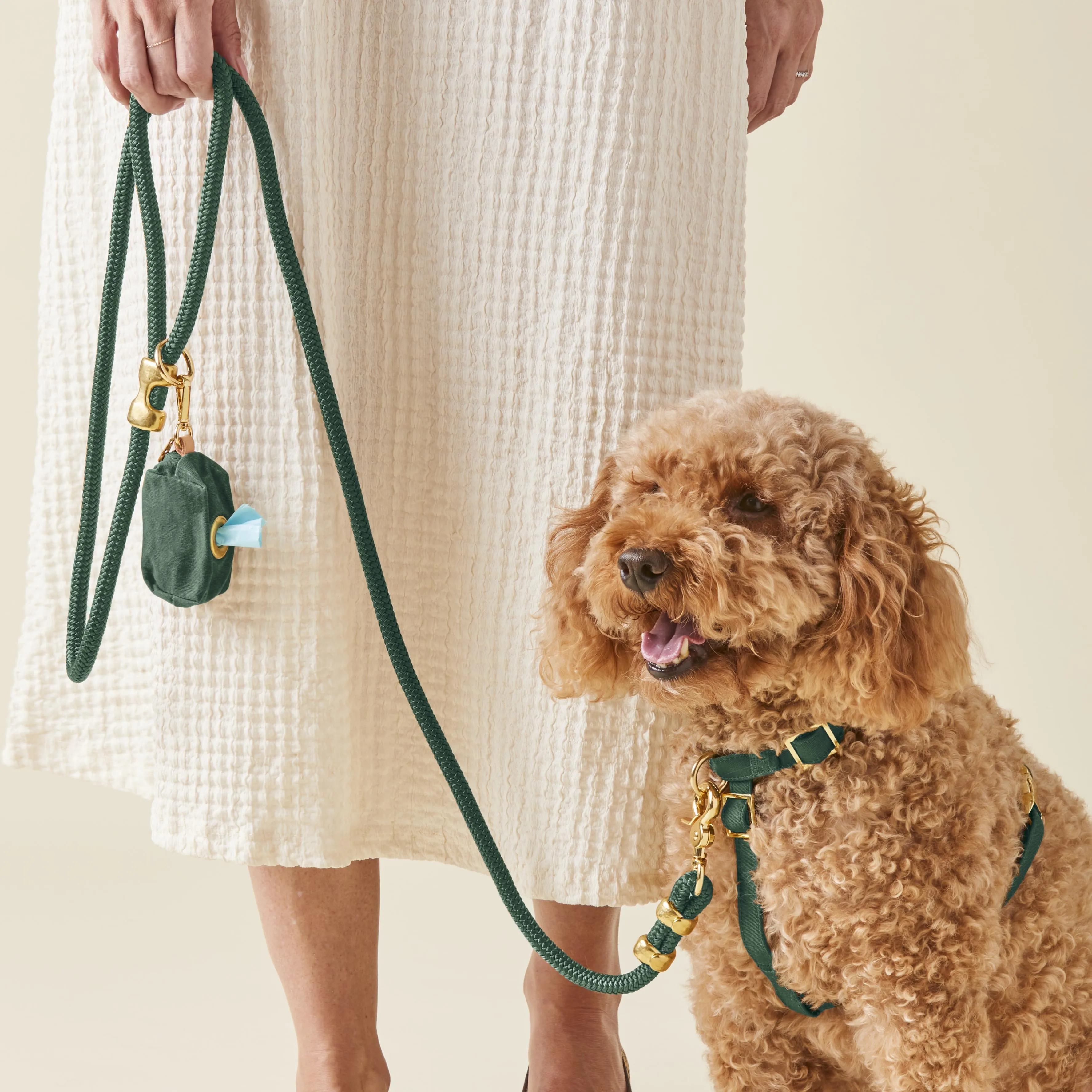 Evergreen Harness Walk Set