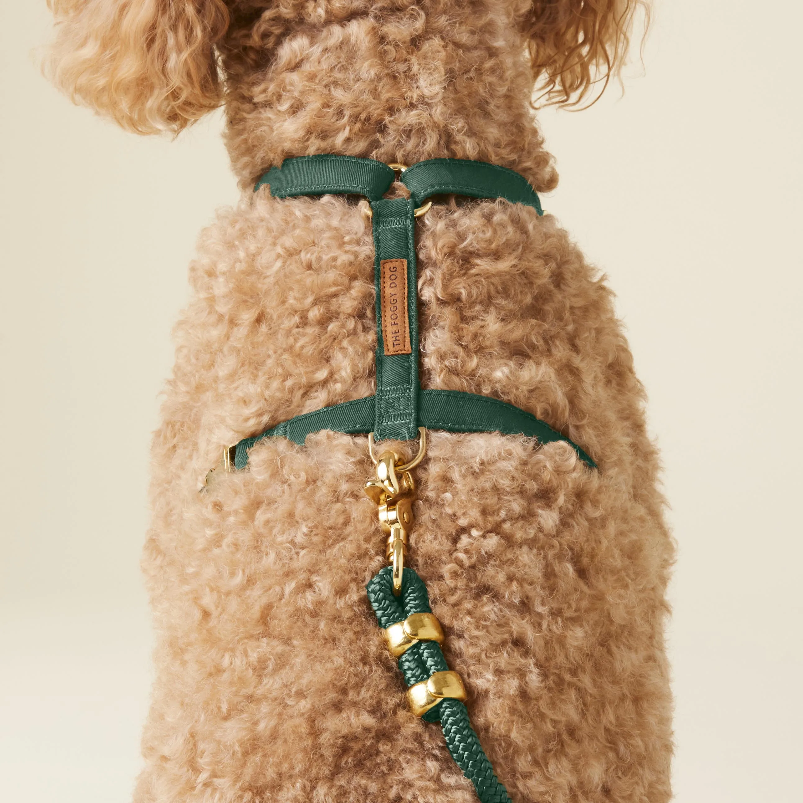 Evergreen Harness Walk Set