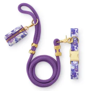 Pressed Pansies Collar Walk Set