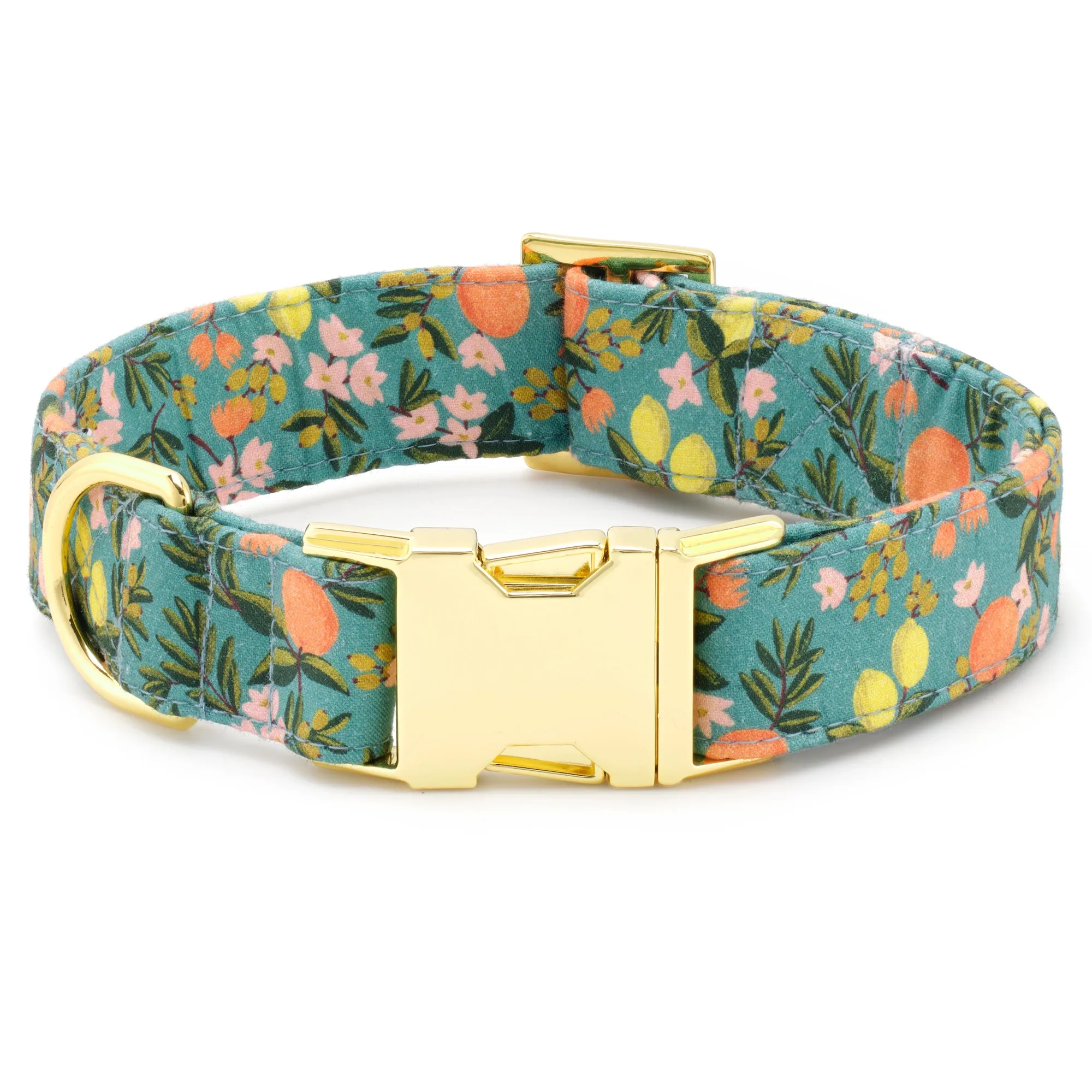 Rifle Paper Co. x TFD Citrus Floral Collar Walk Set