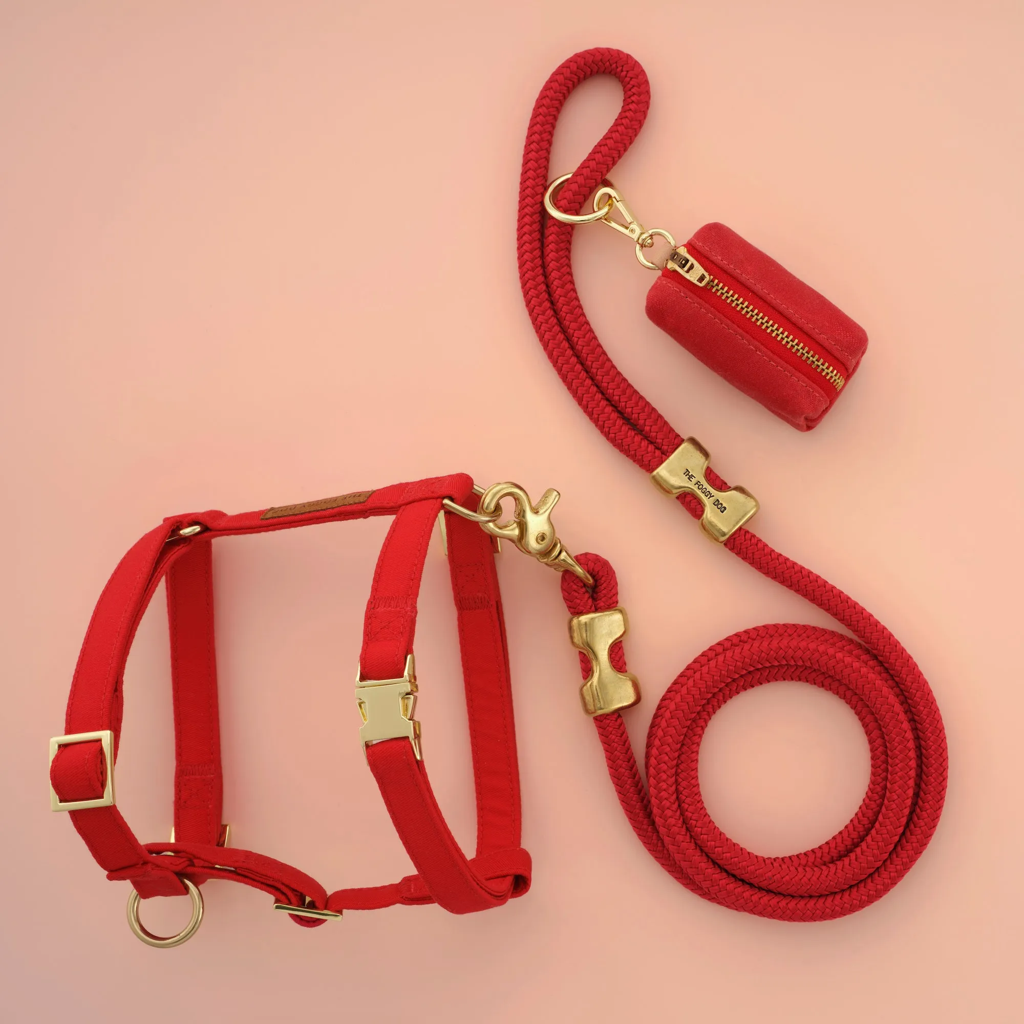 Ruby Harness Walk Set